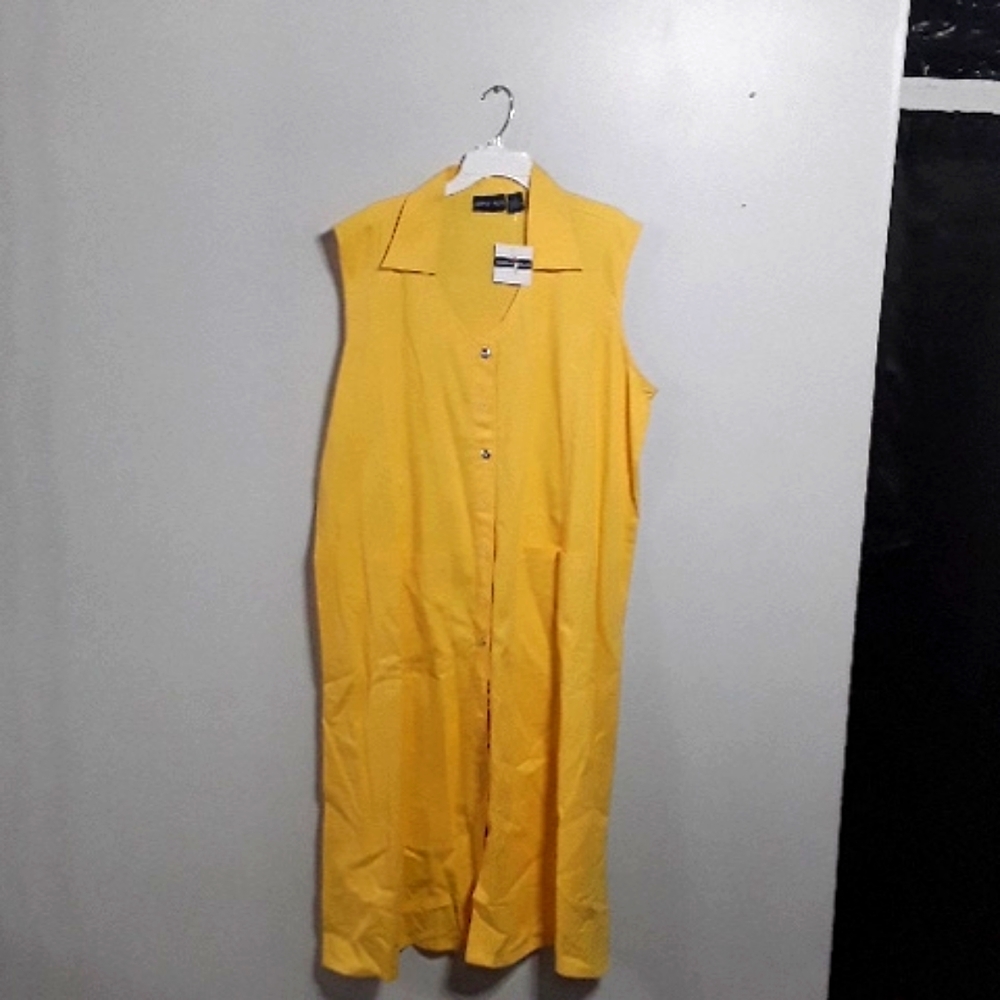 Simply Plus Dress